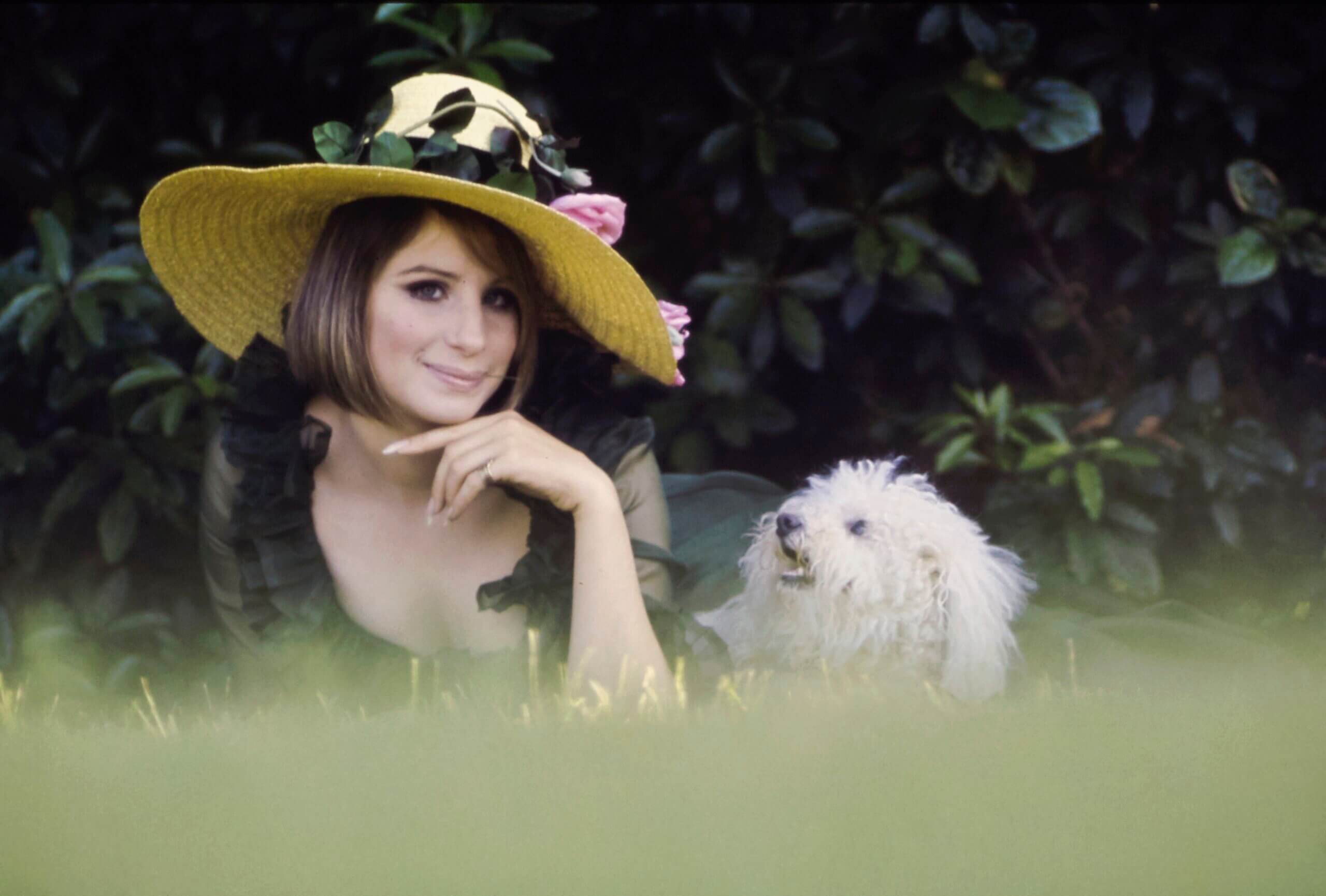 Pour les fanatiques de Barbraphiles et de Streisand, une pléthore de barbrabilia babtastique