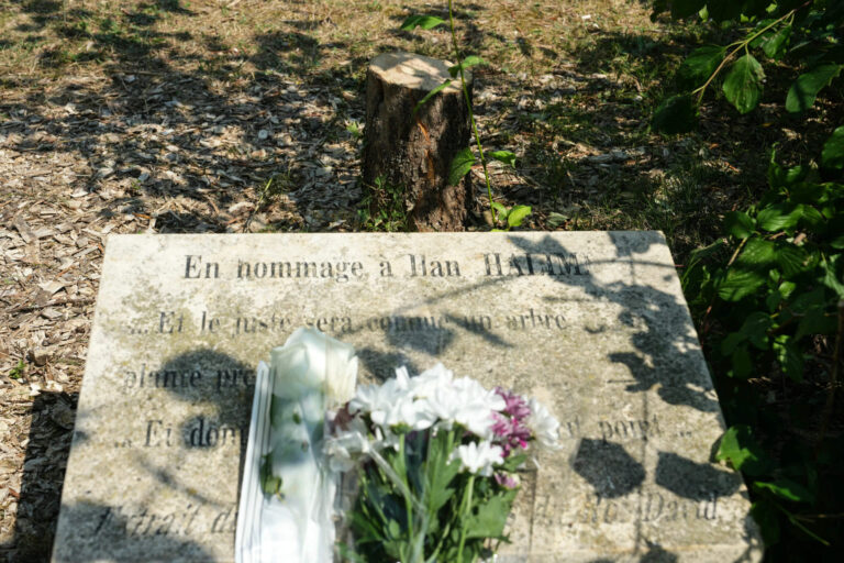Si un antisémite coupe un arbre sacré à Paris, comment savons-nous qu'il fait un son?