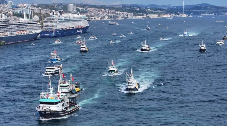 A photo of the boat flotilla.