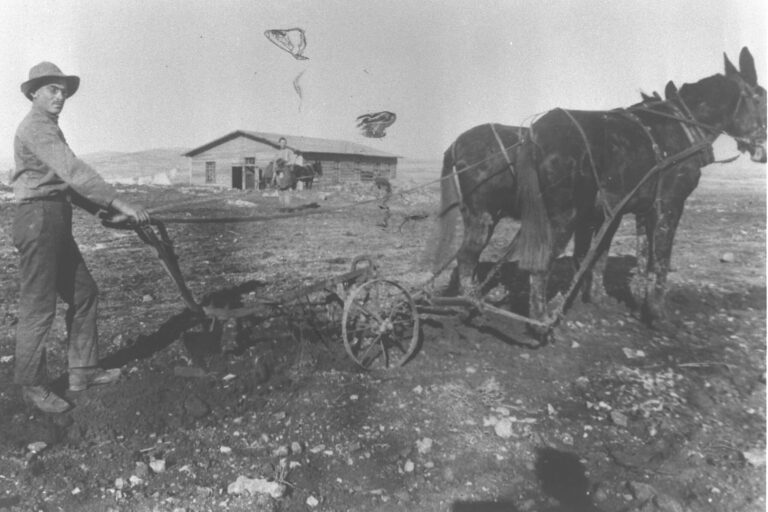 Un aperçu de la gauche juive dans la Palestine des années 1920