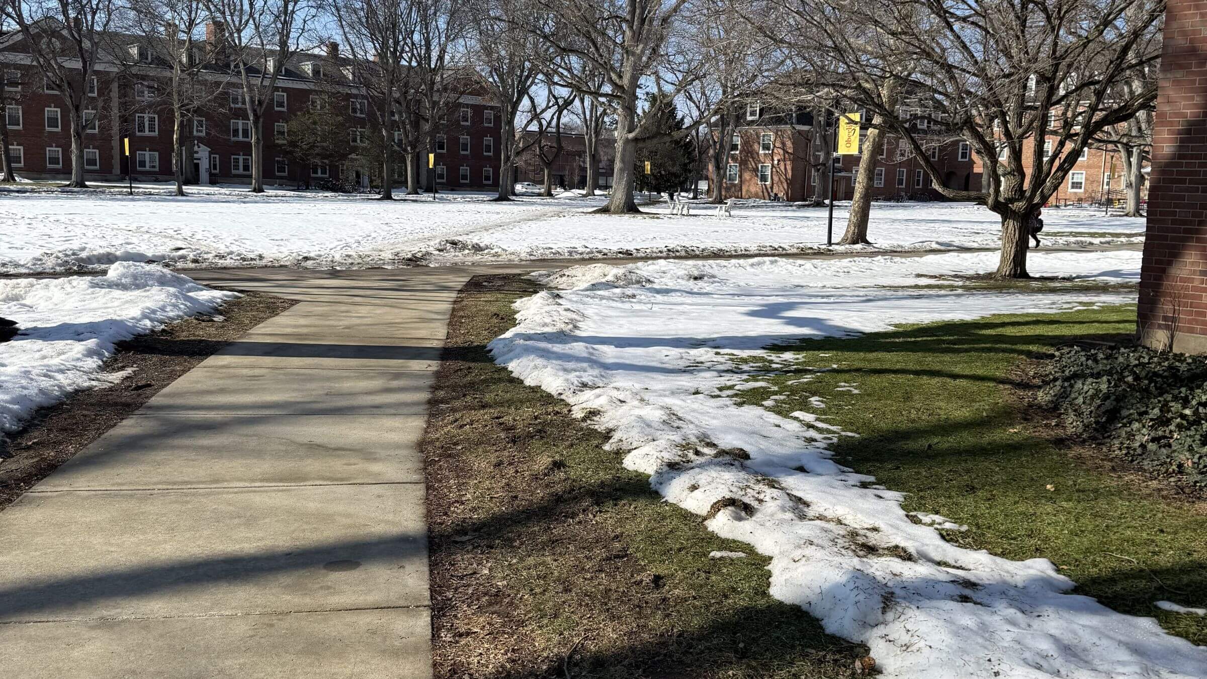 Le rabbin expulsé Oberlin Habad dit avoir "fait une erreur" en discutant explicitement sur les réseaux sociaux