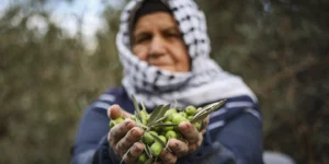 Mamdani accuse à nouveau Israël de « génocide » dans une déclaration sur la détention par l&rsquo;IDF de Brad Lander lors de la récolte des olives en Judée