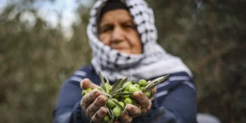 Mamdani accuse à nouveau Israël de « génocide » dans une déclaration sur la détention par l&rsquo;IDF de Brad Lander lors de la récolte des olives en Judée